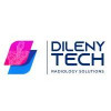 DilenyTech