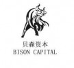 Bison Capital (China)